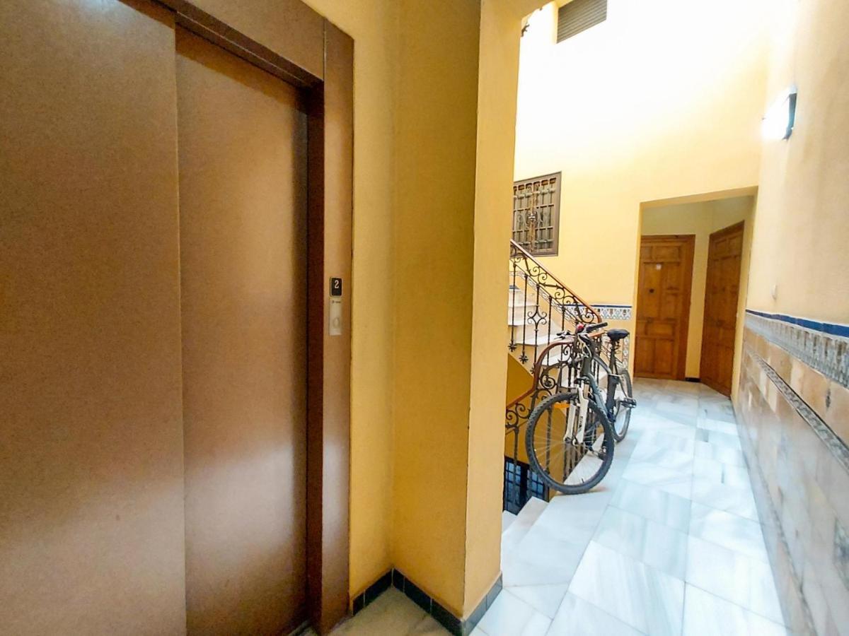 Apartamento Alameda Calatrava Sevilla Eksteriør billede